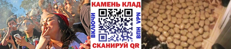 ГАШИШ Изолятор Купить Мыски