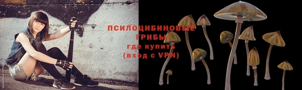 дживик Белоозёрский