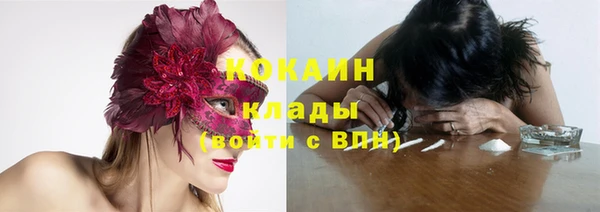 дживик Белоозёрский