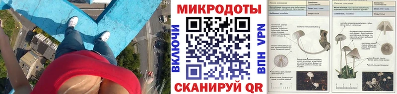 Купить закладки  Мыски  Псилоцибиновые грибы GOLDEN TEACHER 